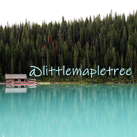 littlemapletree